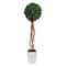 5ft. English Ivy Single Ball Artificial Topiary Tree in White Metal Planter UV Resistant (Indoor/Outdoor)